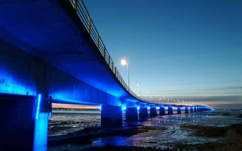 Mer A 200M,,Ds Les Mimosas En Fleur ! Ronce-les-Bains Exteriör bild